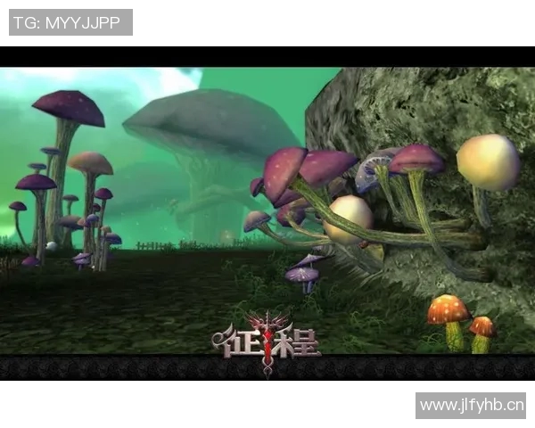 总冠军荣耀之路：从拼搏到巅峰的传奇征程与背后故事